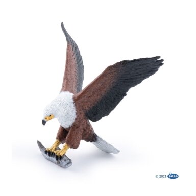 African fish eagle