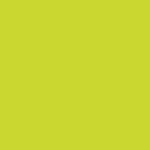 Acrylic Color - Yellow Green Acrylic Color - Yellow Green