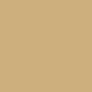 Acrylic color - Buff Acrylic color - Buff