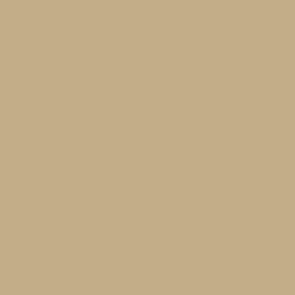 Acrylic color - Ivory Acrylic color - Ivory