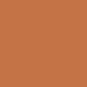 Acrylic color - Light brown Acrylic color - Light brown