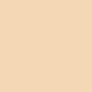 Acrylic color - Pale sand Acrylic color - Pale sand