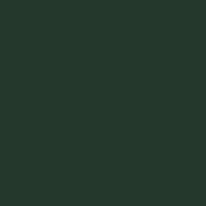 Acrylic color - Yellow olive Acrylic color - Yellow olive