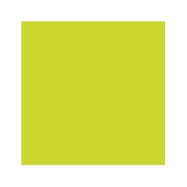 Akriliniai dažai - geltona (Yellow Green)