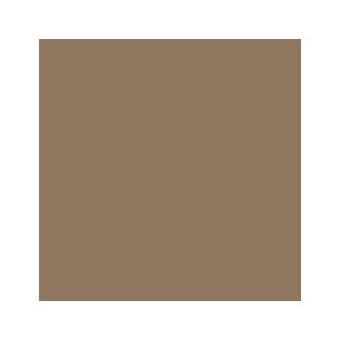 Akriliniai dažai - ruda (Beige Brown)