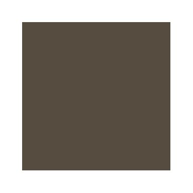 Akriliniai dažai - ruda (Chocolate Brown)