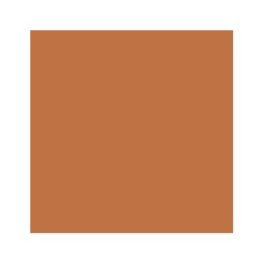 Akriliniai dažai - ruda (Light Brown)