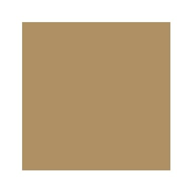 Akriliniai dažai - ruda (Light Brown)