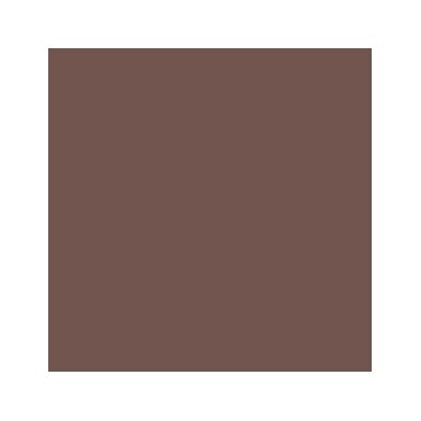 Akriliniai dažai - ruda (Saddle Brown)