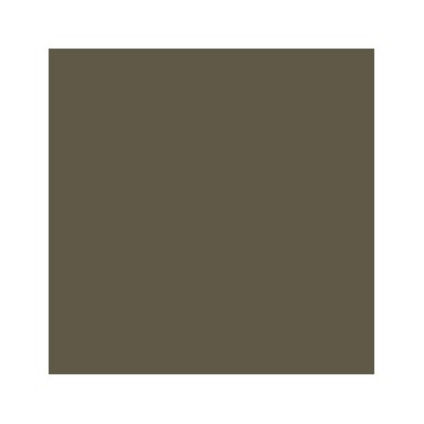 Akriliniai dažai - ruda (US Olive Drab)