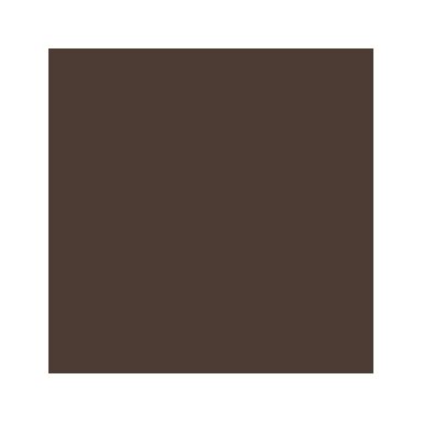 Akriliniai dažai - ruda (Woodgrain)