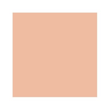 Akriliniai dažai - rusva (Basic Skin Tone)