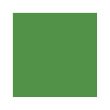Akriliniai dažai - žalia (Intermediate Green)