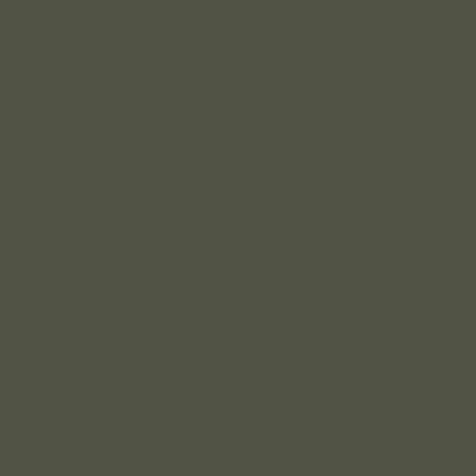 Acrylic color - Camouflage Olive Green Acrylic color - Camouflage Olive Green