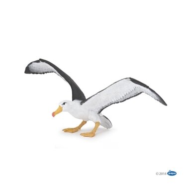 Albatross