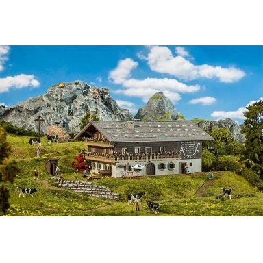 Alpine farm