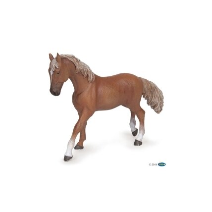 Alezan English thoroughbred mare Alezan English thoroughbred mare