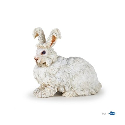 Angora rabbit Angora rabbit