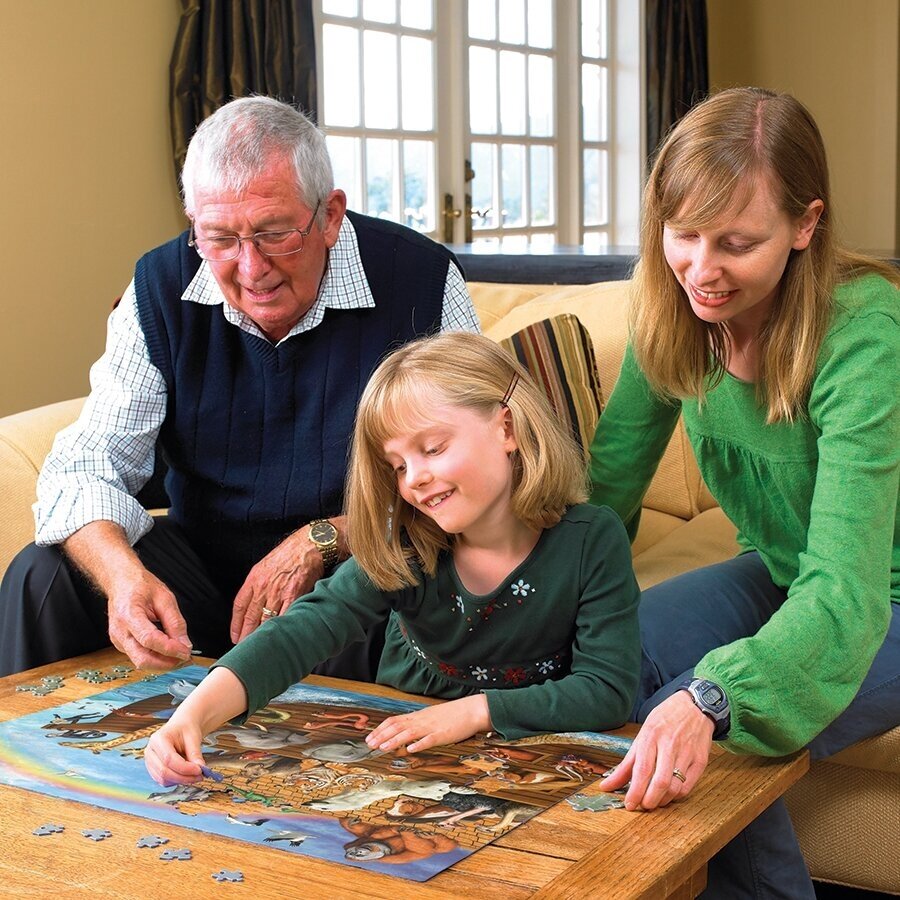 Cobble Hill family puzzle - Voyage of the Ark, 350 pcs. 2 Cobble Hill family puzzle - Voyage of the Ark, 350 pcs. 2