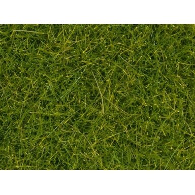 Wild grass Meadow XL