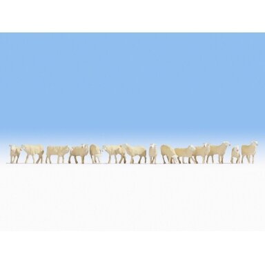 Sheep