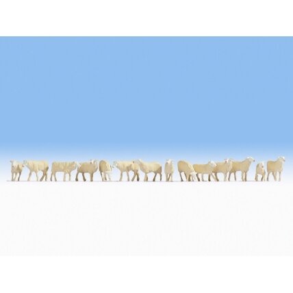 Sheep Sheep