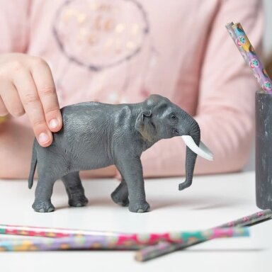 Asian elephant