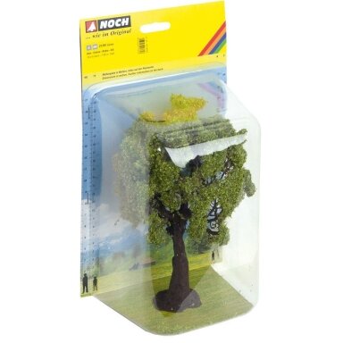 Oak Tree
