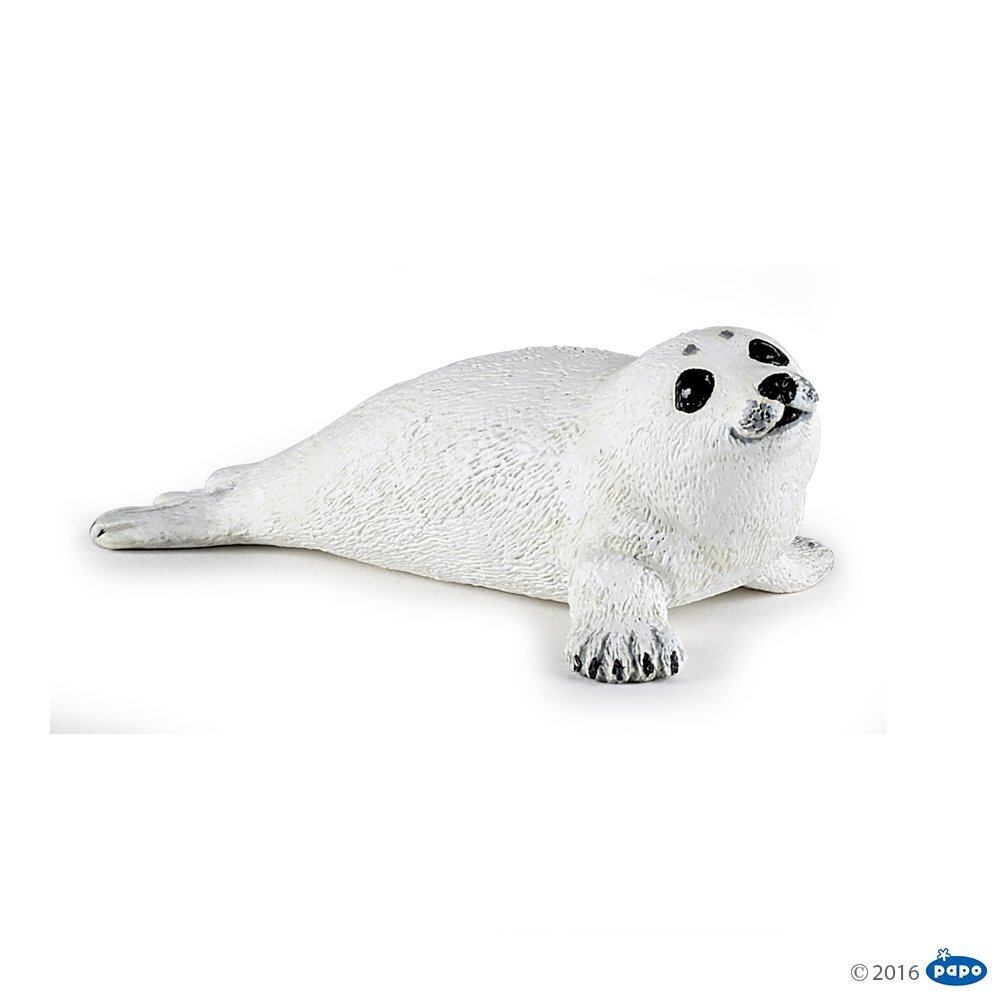 Baby seal Baby seal