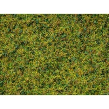 Grass Blend Cow Pasture