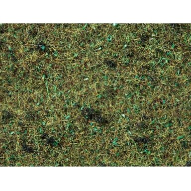 Scatter Grass Forest Floor