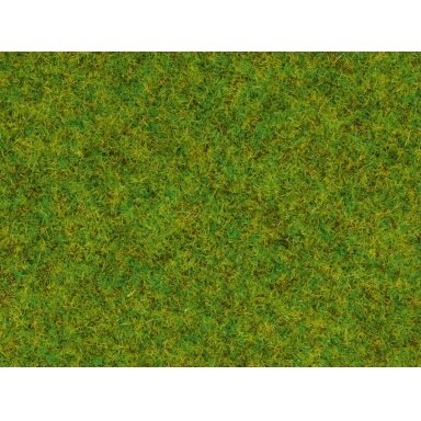 Scatter Grass Spring Meadow