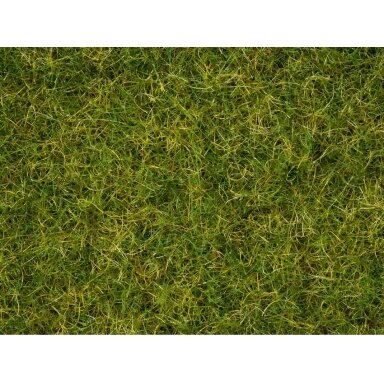 Master Grass Blend Summer Meadow