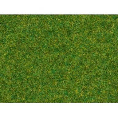 Scatter grass Ornamental lawn