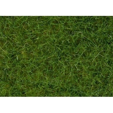 Wild Grass light green