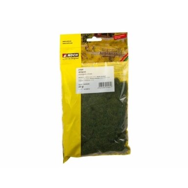 Wild grass