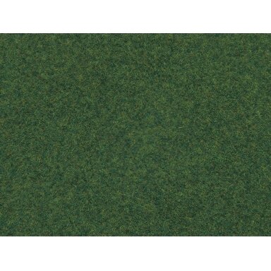 Wild grass