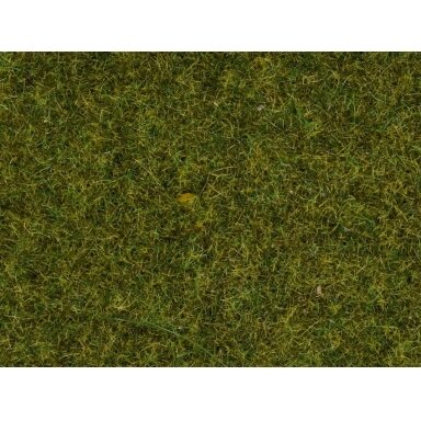 Scatter Grass Meadow