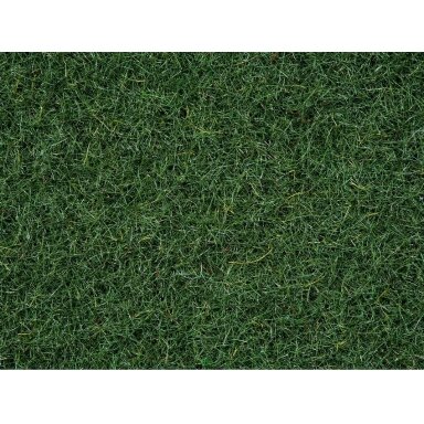 Scatter Grass Marsh Soil