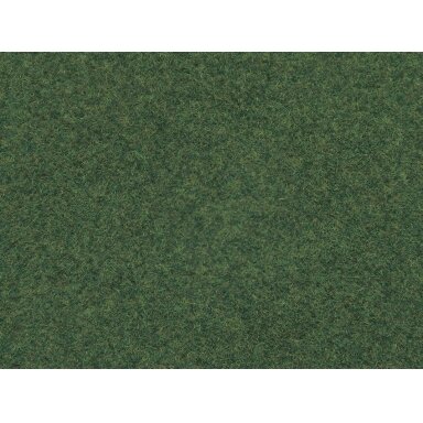 Scatter Grass