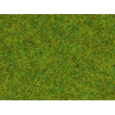 Scatter grass Spring meadow