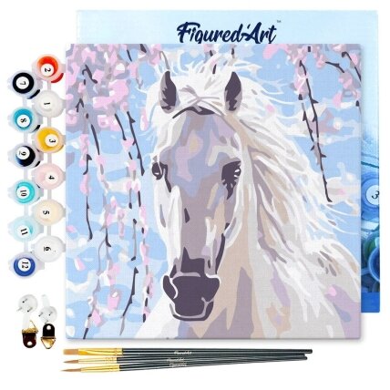 Painting by numbers kit - White horse Painting by numbers kit - White horse
