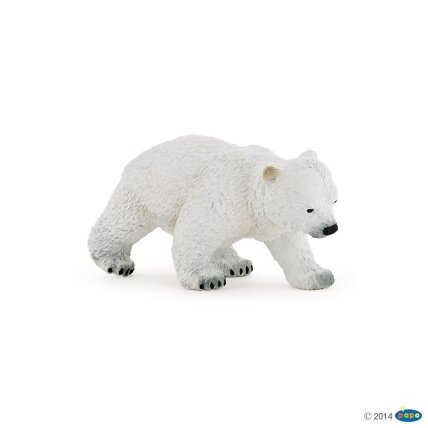 Walking polar bear cub Walking polar bear cub