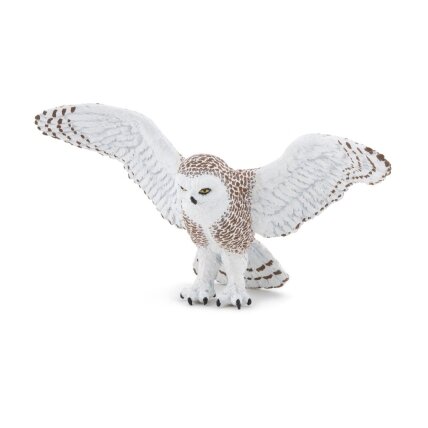 Snowy owl Snowy owl