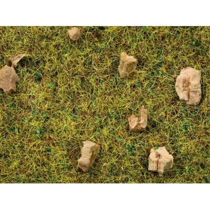 Scatter Grass “Alpine Meadow” Scatter Grass “Alpine Meadow”