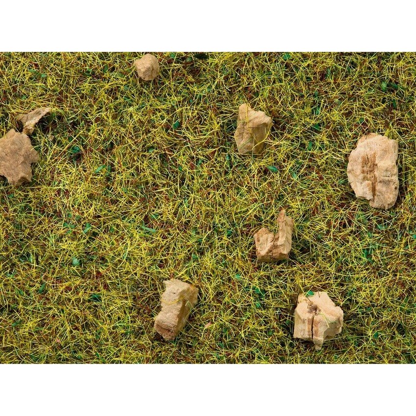 Scatter Grass “Alpine Meadow” Scatter Grass “Alpine Meadow”