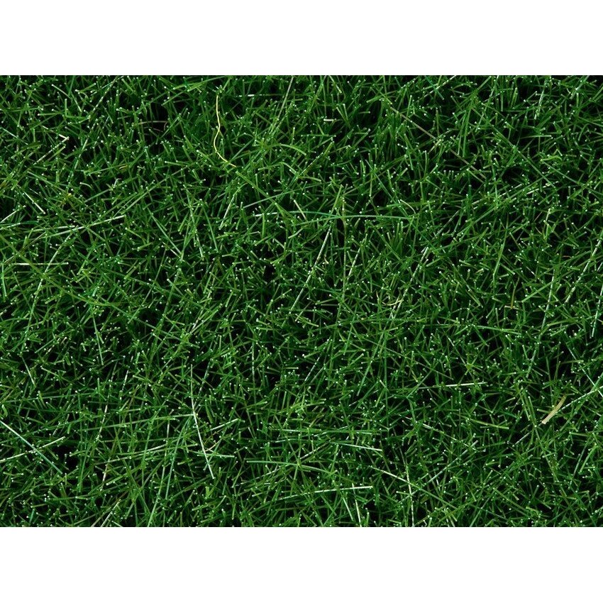 Wild grass Wild grass