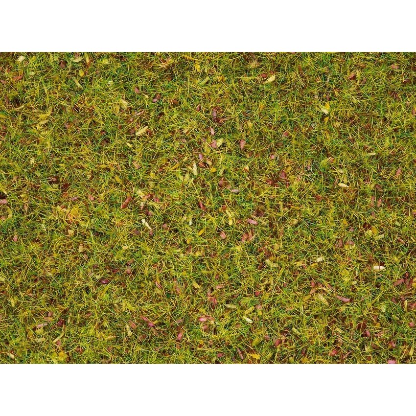 Flower Meadow Grass Flower Meadow Grass