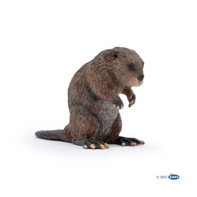 Beaver