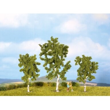 Birch Trees, 3 pcs.